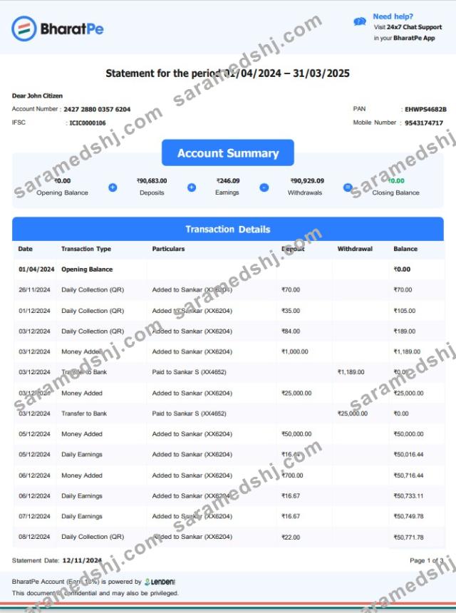 INDIA BHARATPE bank statement template, Word and PDF format